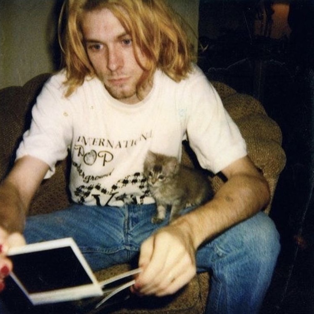 Meet your Posher, Nick